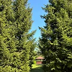 Przystanek Sniardwy 別荘