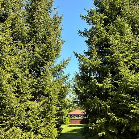 Przystanek Sniardwy بيت للعطل