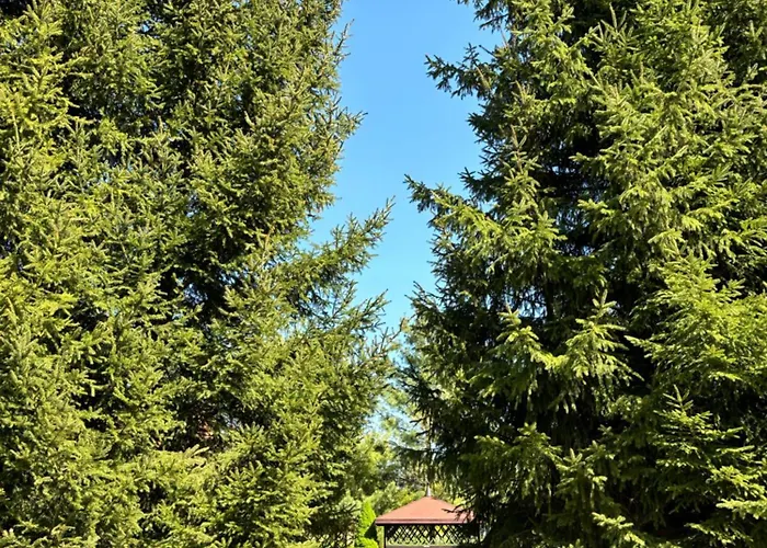 Przystanek Sniardwy Prázdninový dům